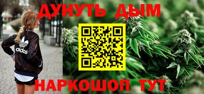 прущие крисы Краснознаменск
