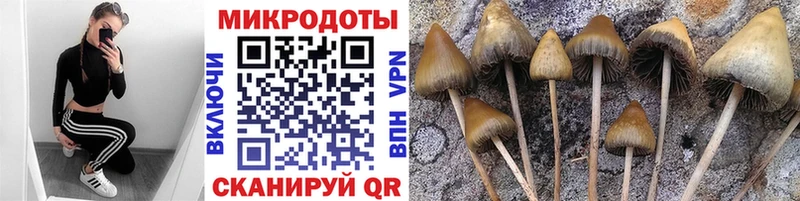 МЕГА вход  Кемерово  Псилоцибиновые грибы мухоморы 