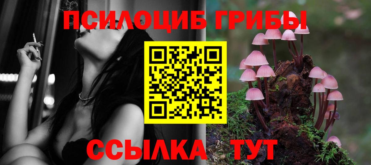 Галлюциногенные грибы ЛСД  купить   Кемерово  Вход с VPN 